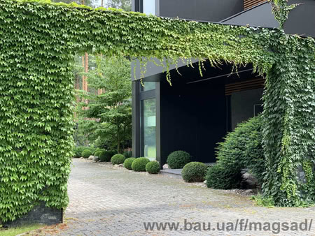 Ландшафтный дизайн